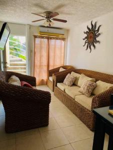 Casa CAREV en Ixtapa