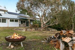 Silvertop Snowy Mountains