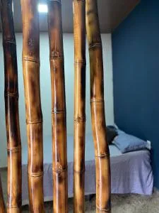 Espaço bambu - Vila Tepequém