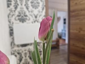 Mountain Home - Galyatető