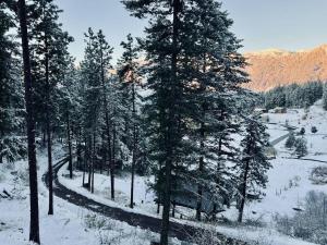 Alpine Lodge - Epic Mountain Views, Hot Tub, 2 Miles to Town