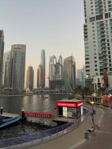 Golden Hour Marina View