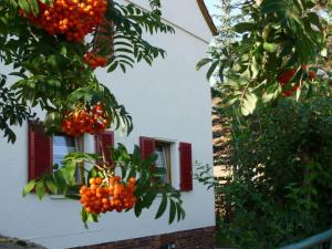 Wiete Lenk Comfortable holiday residence