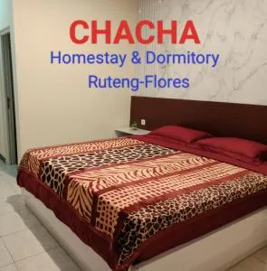 Chacha Homestay & Dormitory - Todo