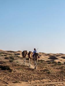 Al Badri Bedouin Camp