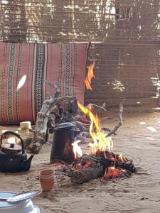 Al Badri Bedouin Camp