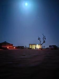 Al Badri Bedouin Camp