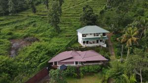 Pepper and Clove Enclave