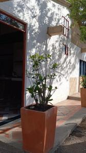 Casa Pórticos del Pedregal