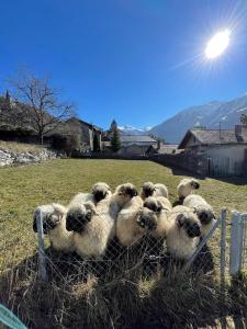 Stay in the Heart of Wallis