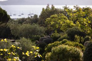 Hotels La Villa Calvi : photos des chambres