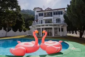 Villa55 w Private swimming pool BBQ Pool table 25pax - Sungei Dua
