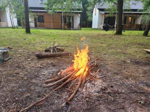 Leśna Osada Wieliszew