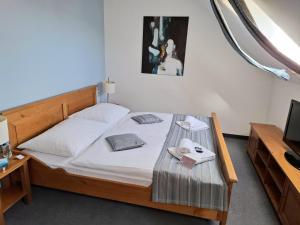 Economy Double Room room in Hotel Peklo