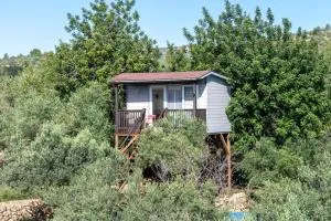 Casa Arbol - 卡马尔莱斯