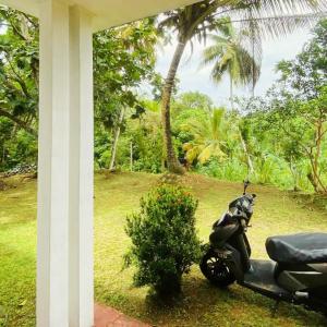 Cinnamon Mount Villa
