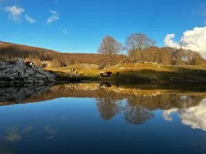 FreeMood Campaegli - Camerata Vecchia