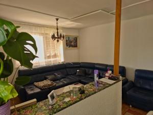 Apartment ML FREE PARKING