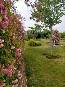 BnB La Néo Bretonne