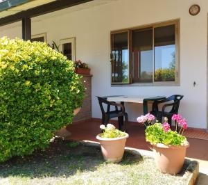 Rasna Heart Guest House
