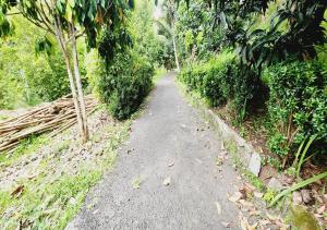 Pondok Wisata Tasya Marawuwung