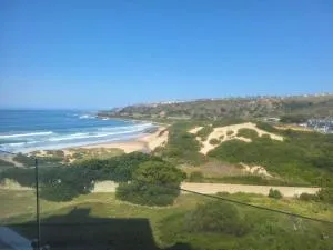 Pansy Cove - DʼAlmeida