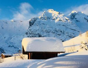 Appartements Coeur de neige 1724 : Appartement 3 Chambres Supérieur