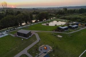 Lisi Ogon zanurzeni w naturze