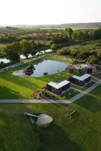 Lisi Ogon zanurzeni w naturze - Brzózki