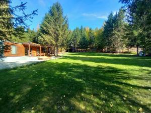 Modular Cuib de Vultur