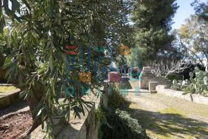 Villa Li Curiosi Puglia on line