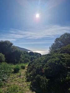 Mini villa 70 - piscine chauffée