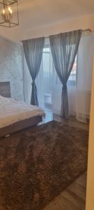 Apartament Parc Romanesc