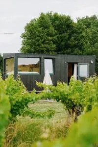Tiny House au milieu des Vignes - Donzac