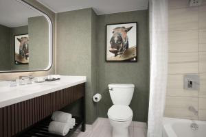 King Suite room in Embassy Suites by Hilton Dallas Near the Galleria
