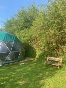 Ceridwen Glamping, double decker bus and Yurts