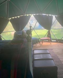 Ceridwen Glamping, double decker bus and Yurts