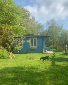 Ceridwen Glamping, double decker bus and Yurts
