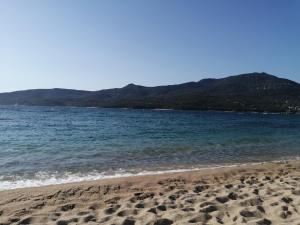 Appartements Olmeto 10 mn plage App 5-6P : photos des chambres