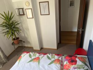 Apartmán s wellness službami