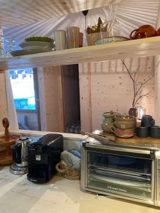 Le Nest Valmorel Skis au pied