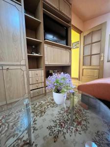 La casina de la Texa