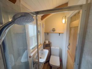 Shepherds Hut at Maes Uldale