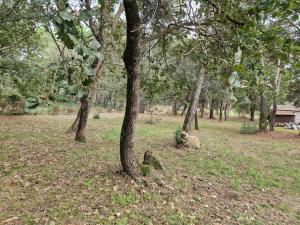 Appartements studio mornas : photos des chambres