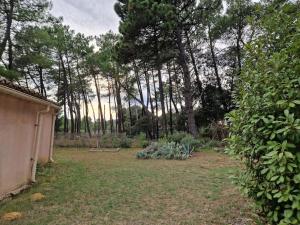 studio mornas