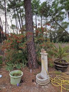 Appartements studio mornas : photos des chambres