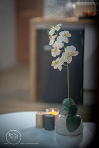 T1 bis tout confort centre historique