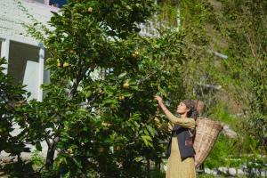 SaffronStays Fairytale Villa - 3 bedroom villa in orchards and access to the river