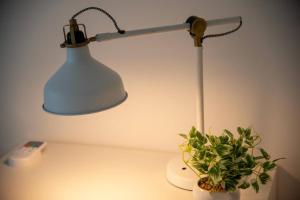 セレス八広101室 24年10月新たにオープン 八広駅徒歩9分 収容人数8 貸切 寝室2