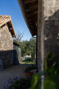 Maisons de vacances La bergerie de Genouse : photos des chambres